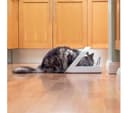 SUREFEED Microchip Pet Feeder White thumbnail 7