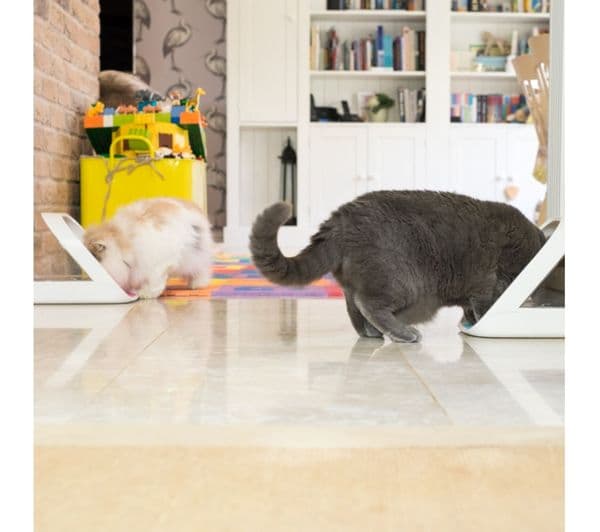 SUREFEED Microchip Pet Feeder White - Image 8