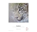 HAHNEMUEHLE Digital FineArt Sample Pack Natural Line A4 Glossy Photo Paper - 10 Sheets thumbnail 3