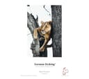 HAHNEMUEHLE Digital FineArt Sample Pack A4 Matte Photo Paper - 12 Sheets thumbnail 6