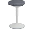 LEITZ Ergo Active Sit-Stand Stool - Grey thumbnail 1