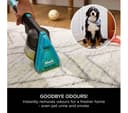 SHARK CarpetXpert HairPro Pet with StainStriker EX300UK Upright Carpet Cleaner - Silver & Fuchsia thumbnail 6