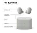 SONY WF-1000XM6 Silver thumbnail 10