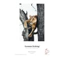HAHNEMUEHLE Digital FineArt ArtLine German Etching A4 Matte Photo Paper - 25 Sheets thumbnail 2