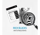 HP 201A Original Black Toner Cartridge thumbnail 6