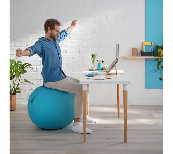 LEITZ Ergo Cosy Sitting Ball - Blue - Image 5