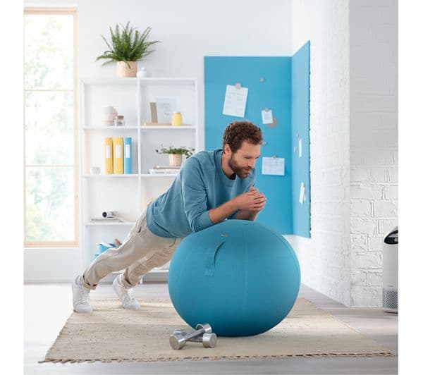 LEITZ Ergo Cosy Sitting Ball - Blue - Image 6