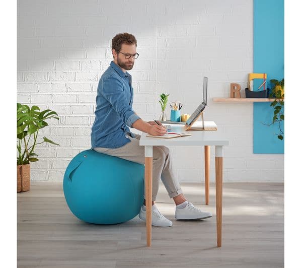 LEITZ Ergo Cosy Sitting Ball - Blue - Image 10