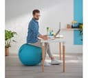 LEITZ Ergo Cosy Sitting Ball - Blue thumbnail 10