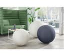 LEITZ Ergo Active Sitting Ball - Dark Grey, 65 cm thumbnail 3