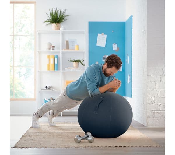 LEITZ Ergo Cosy Sitting Ball - Grey - Image 5