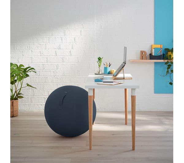 LEITZ Ergo Cosy Sitting Ball - Grey - Image 7