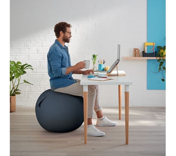 LEITZ Ergo Cosy Sitting Ball - Grey - Image 8