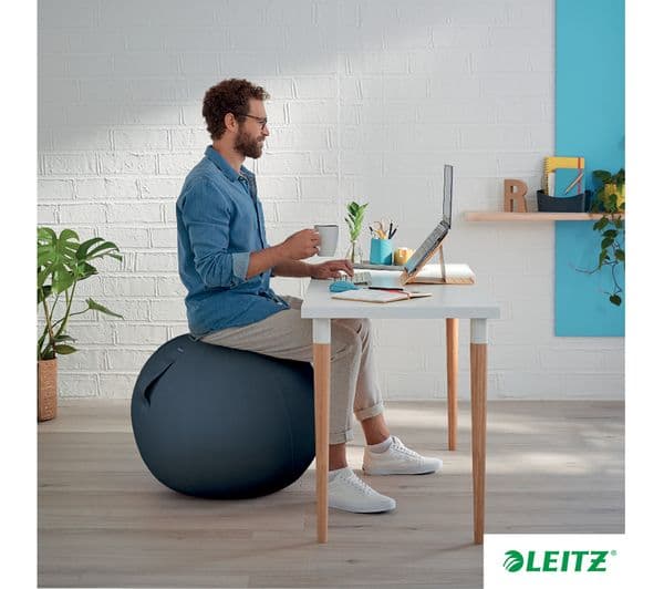 LEITZ Ergo Cosy Sitting Ball - Grey - Image 9