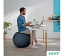 LEITZ Ergo Cosy Sitting Ball - Grey thumbnail 9