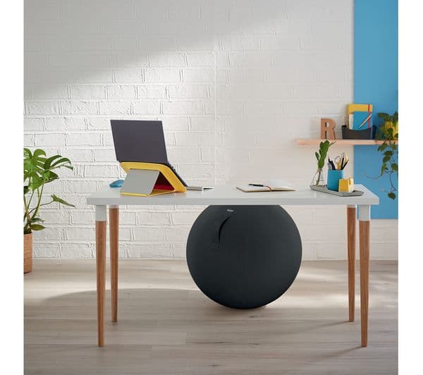 LEITZ Ergo Cosy Sitting Ball - Grey - Image 10
