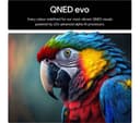 LG QNED93 65" QNED evo AI Mini LED 4K HDR Smart TV 2025 - 65QNED93A6A thumbnail 5