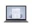 i5 8GB 512GB Platinum