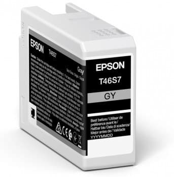 Epson UltraChrome Pro ink cartridge 1 pc(s) Original Grey - Image 1