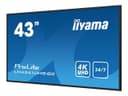 iiyama ProLite LH4341UHS-B2 43" Class (42.5" viewable) 4K UHD IPS LED-backlit LCD Digital Signage Display thumbnail 3