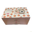 Instax Mini 9 Skinny Dip Peachy Bundle thumbnail 1