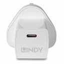 Lindy 20W USB Type C GaN Charger thumbnail 3