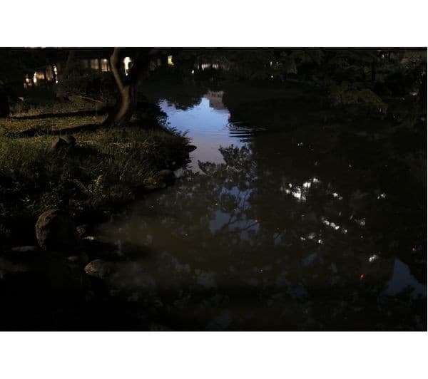 Fujifilm XF 23mm f/2 R WR Lens - Black - Image 3