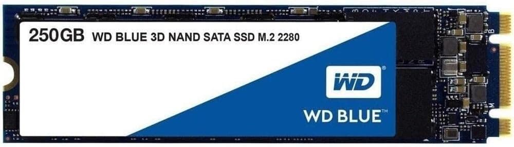 WD Blue 3D NAND SATA SSD WDS250G2B0B - SSD - 250 GB - SATA 6Gb/s