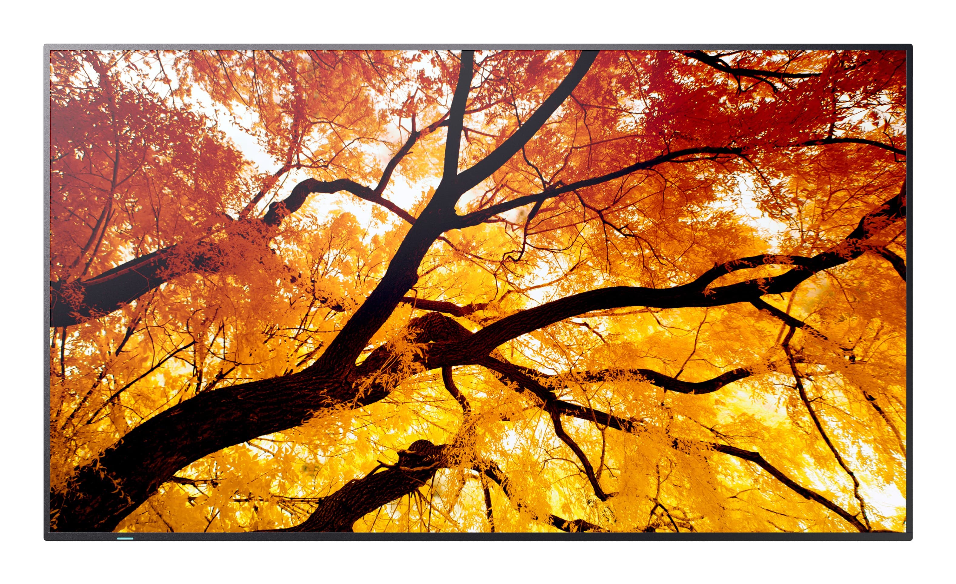 Sharp MultiSync M322 Digital signage flat panel 81.3 cm (32") LCD 550 cd/m² Full HD Black