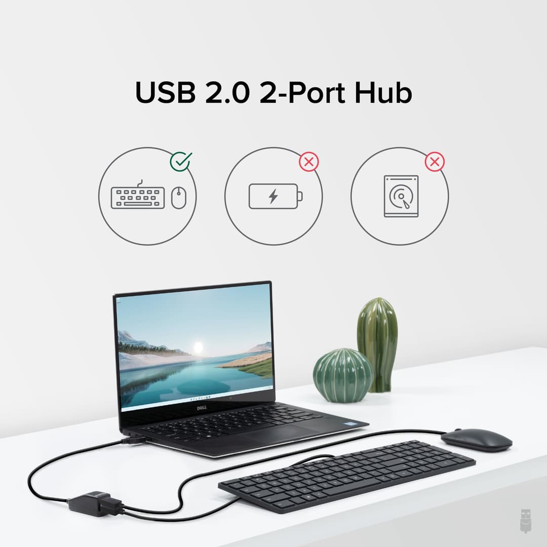 Plugable Technologies 2-in-1 USB Splitter with Dual USB 2.0 Ports, Compatible with Windows, Linux, macOS, Chrome OS, USB Multiport Hub for Laptops - Image 3