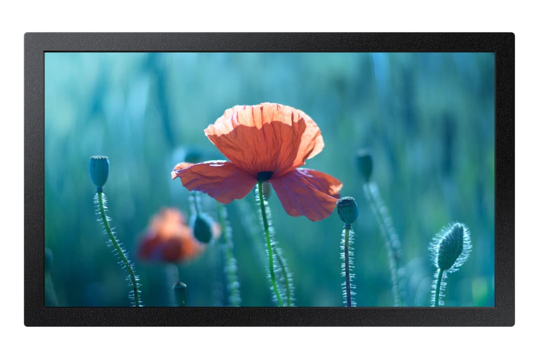 Samsung QB13C 33 cm (13") LCD Wi-Fi 500 cd/m² Full HD Black 16/7 - Image 1