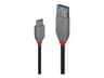Lindy Black Line USB-C Cable 15cm Black