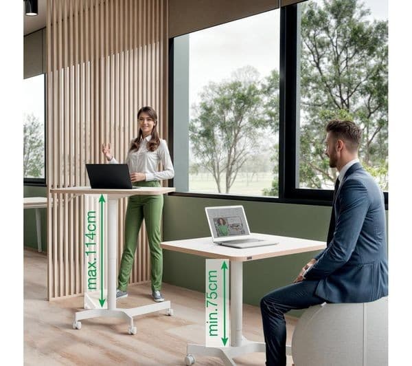 LEITZ Ergo Small Sit Standing Desk - White - Image 10