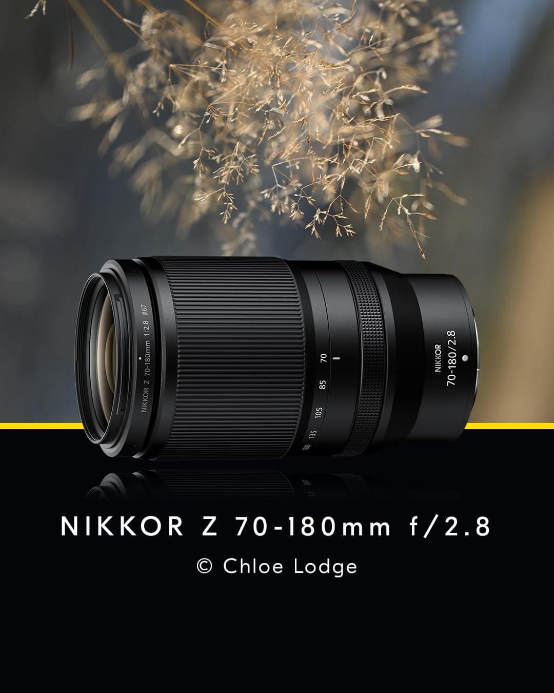 Nikon NIKKOR Z 70-180mm f/2.8 Lens - Black - Image 3