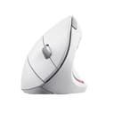 Trust Verto Vertical Ergonomic Wireless Mouse, White - Office, Right-Handed, RF 2.4GHz, Optical, 1600 DPI thumbnail 4