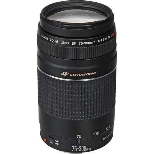 Canon EF 75-300mm f/4.0-5.6 III Telephoto Lens Black - Image 5