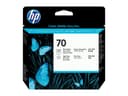 HP 70 - light grey, photo black - printhead thumbnail 1