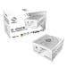 ASRock 1000W Steel Legend Sl-1000Gw Psu Fully Modular 80+ Gold Cybenetics Platin thumbnail 2