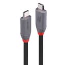 Lindy 2m USB 4 240W Type C Cable, Anthra Line thumbnail 1
