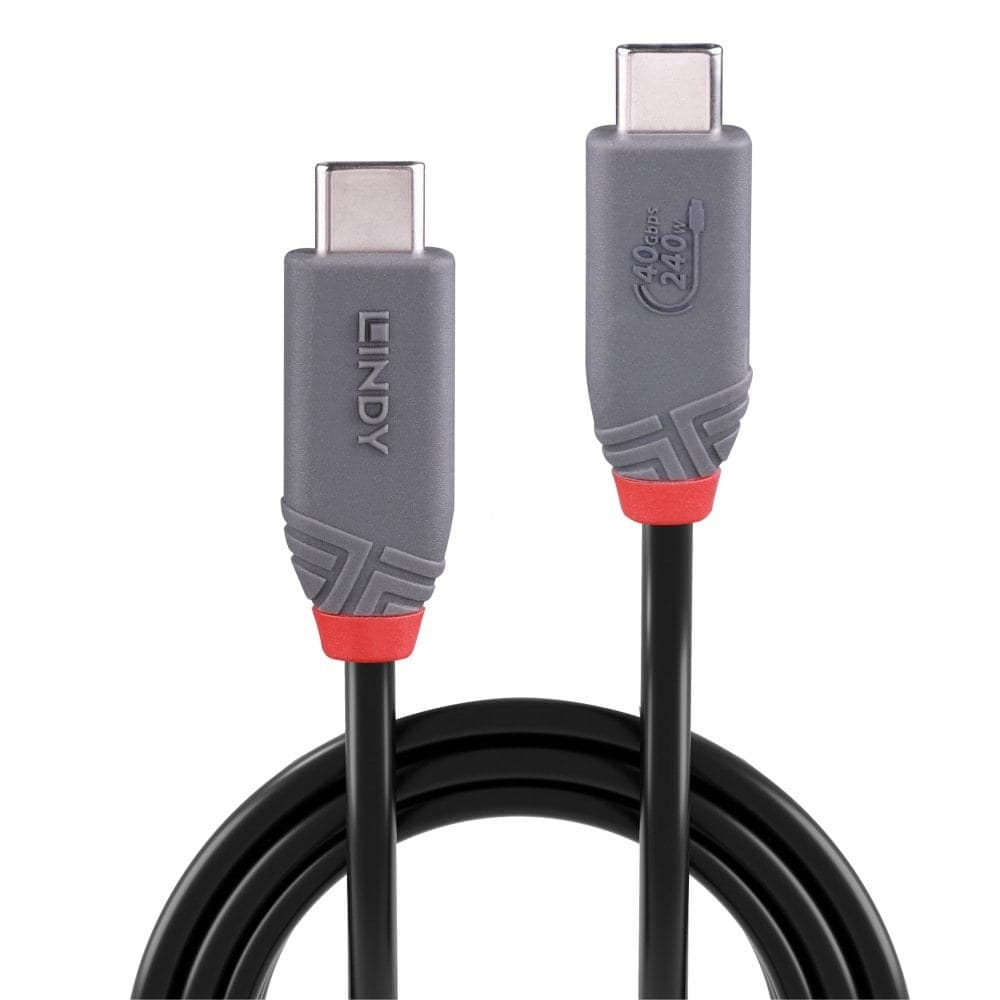 Lindy 2m USB 4 240W Type C Cable, Anthra Line - Image 2