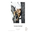Hahnemühle Digital FineArt ArtLine German Etching 310gsm Matte Photo Paper 25 Sheets A3 thumbnail 2