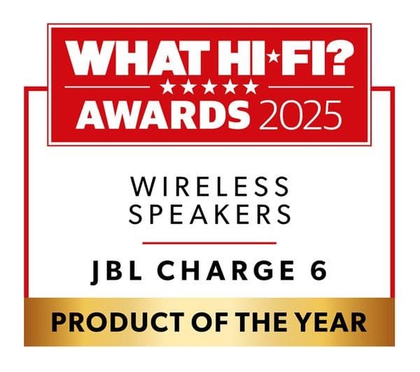 JBL Charge 6 Portable Bluetooth Speaker - Pink - Image 10