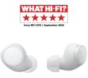 Sony WF-C510 True Wireless Earbuds - White thumbnail 2