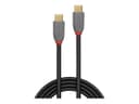 Lindy Anthra Line USB-C to USB-C Cable USB 3.2 Gen 2x2 20Gbps 100W PD 4K60 1.5m Black thumbnail 1
