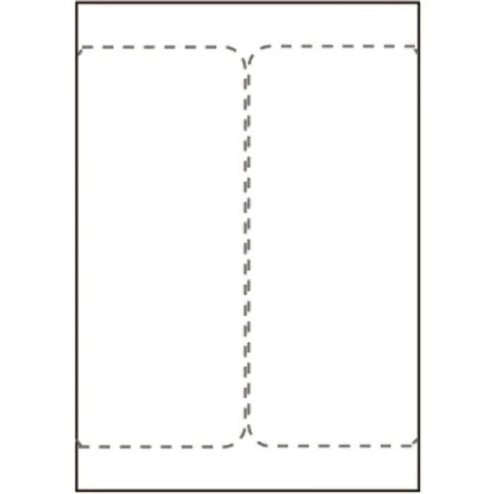 Capture SHIPLABEL105X220-I2P Shipping Labels 105 x 220mm for Laser and Inkjet Printers, 2 per Sheet, 500 Sheets (1000 Labels)