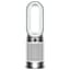 HP10 Silver/White