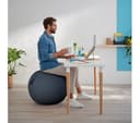 LEITZ Ergo Cosy Sitting Ball - Grey thumbnail 8