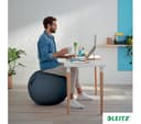 LEITZ Ergo Cosy Sitting Ball - Grey thumbnail 9
