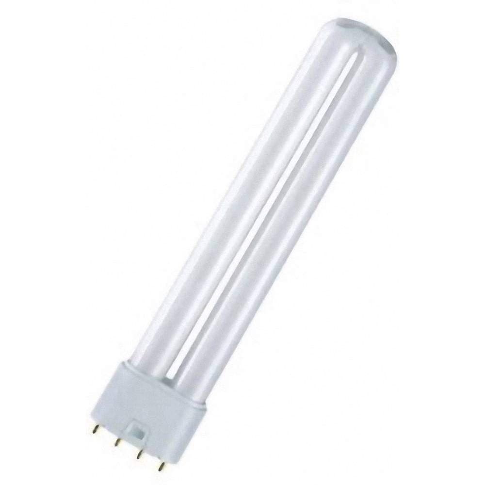 OSRAM DULUX L24W/840 Compact Fluorescent Bulb - Neutral White - Image 1
