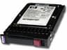 300GB 10K SAS 2.5 DP